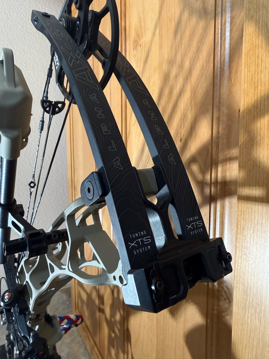 Hoyt limb detail showing the tuning system